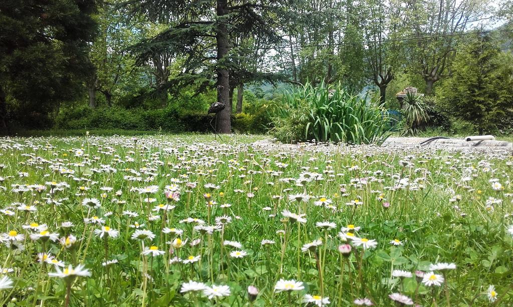 Domaine Du Vern Saint-Affrique Exteriör bild
